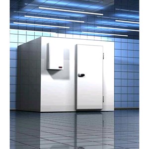 Cella frigorifera modulare - Spessore pannello cm 10 - Con pavimento - H 260 - Con n. 1 porta di cm 80 x h 185 - Motore escluso